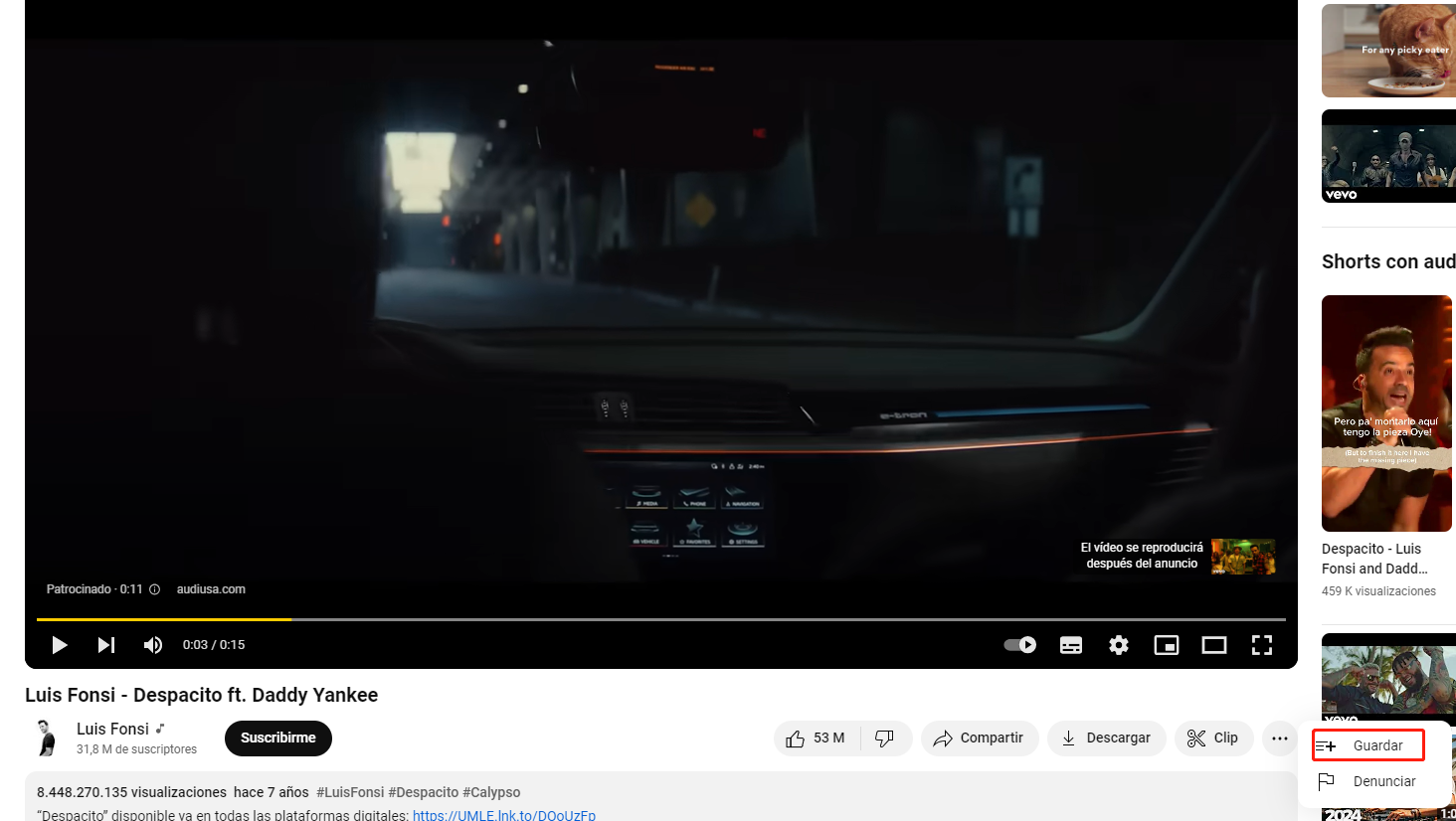 guardar bucle de video de youtube