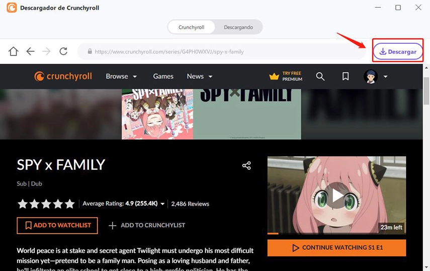download series