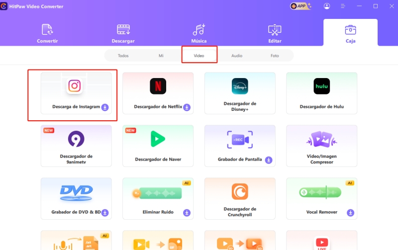 hitpaw Instagram video descargador