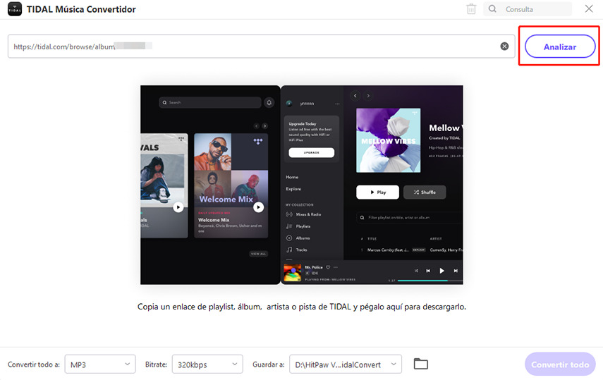 pegar el enlace de tidal y analizar