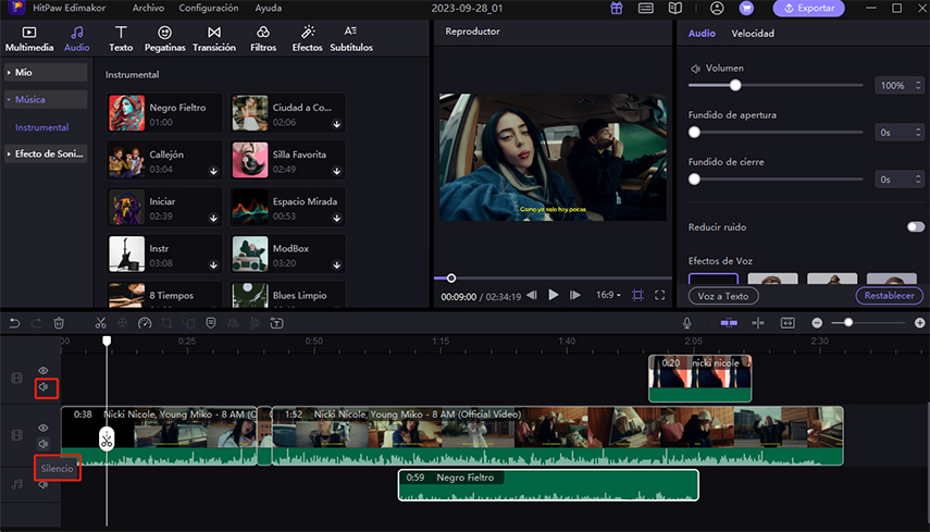 silenciar video