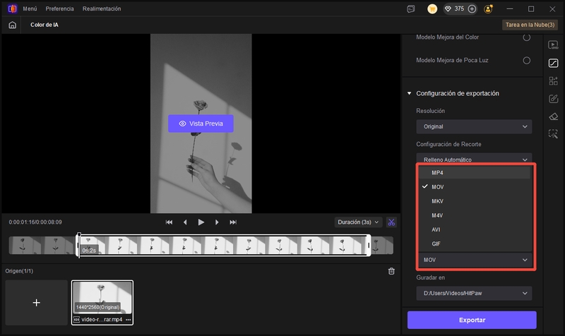 Opciones de salida de Color de IA de HitPaw VikPea
