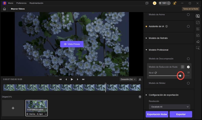 personalizar nivel de reducción de ruido de vídeo