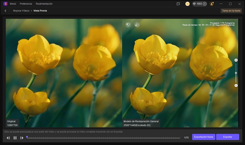 preview the stabilize video
