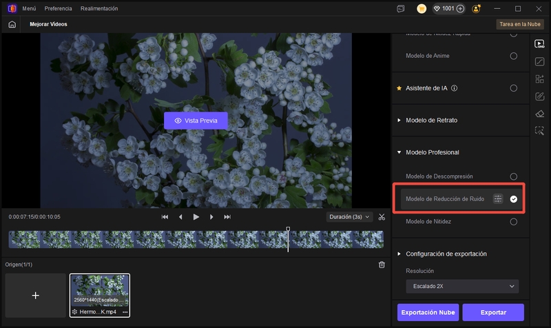 elegir modelo de reducción de ruido de vídeo