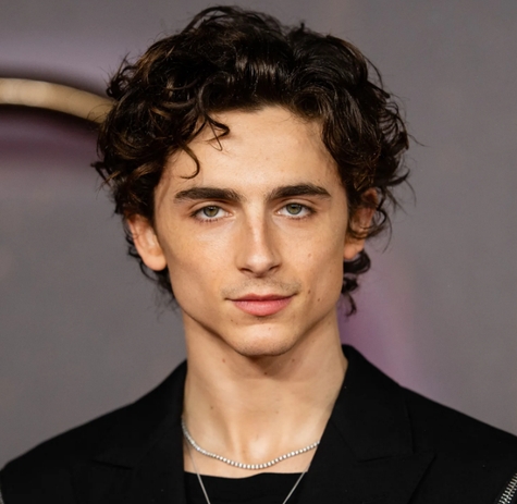 melena larga en capas Timothée Chalamet