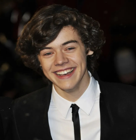 shaggy hair Harry Styles