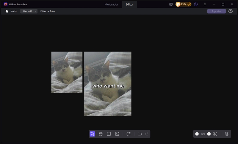 previsualización del meme who want me en hitpaw fotorpea