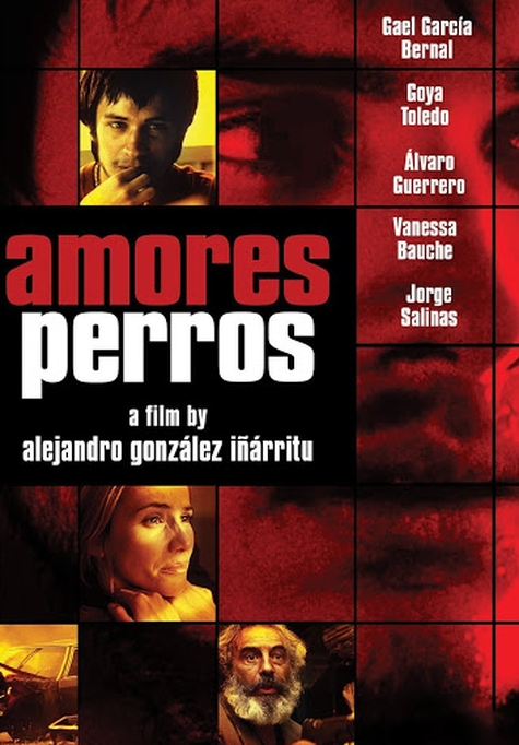 amores perros cover
