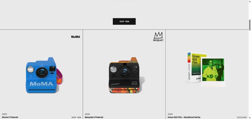 camaras especiales de polaroid